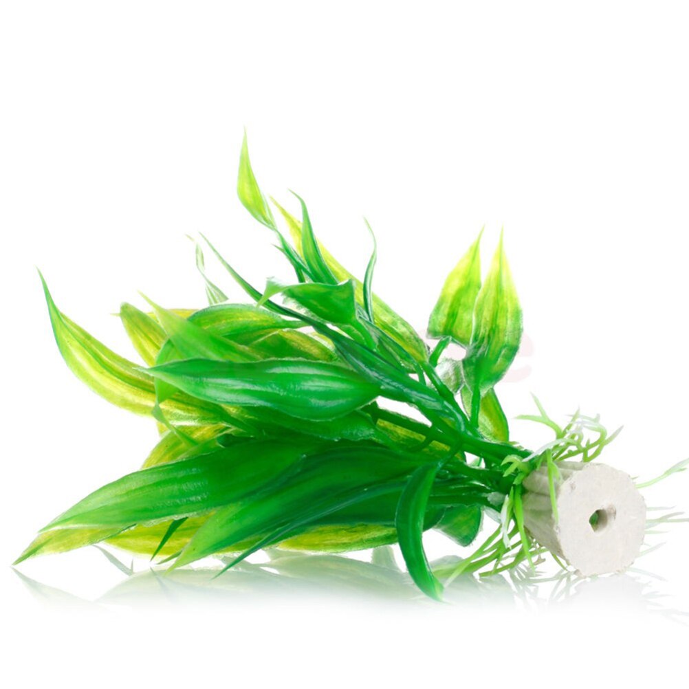 Tanaman dekorasi akuarium buat - Dry Herb Vaping Accessories ulasan dan harga